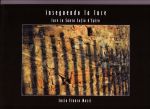 Copertina_-_Inseguendo_la_Luce
