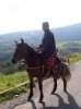 Strada statale 105